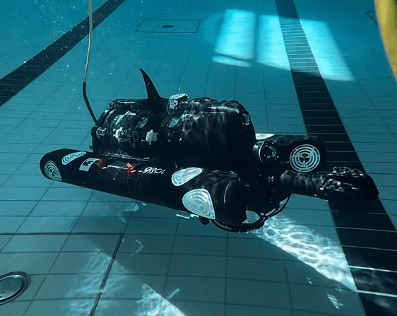 ORCA
